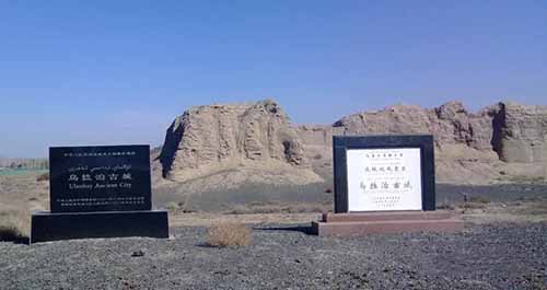 新疆维吾尔自治区提成整改