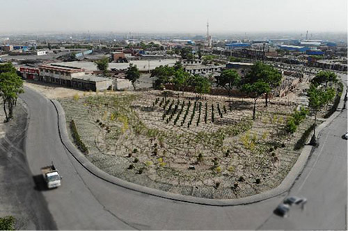 宁夏铁腕整治贺兰山自然保护区外围的崇岗